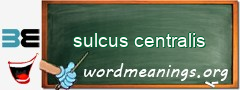 WordMeaning blackboard for sulcus centralis